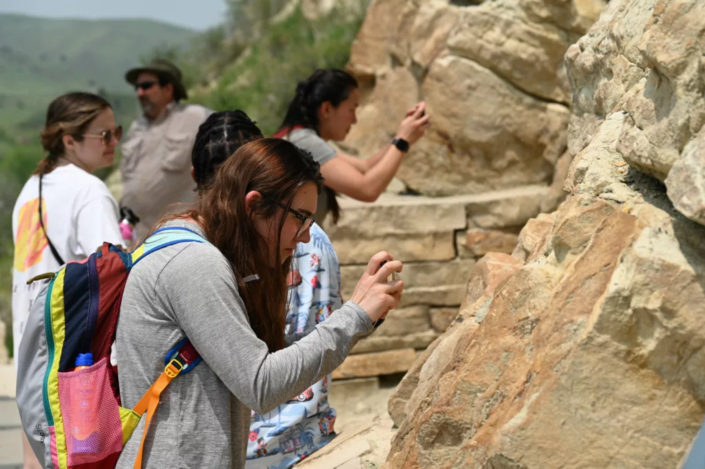 several interns taking photos of dinosaur bones in rock outcrop