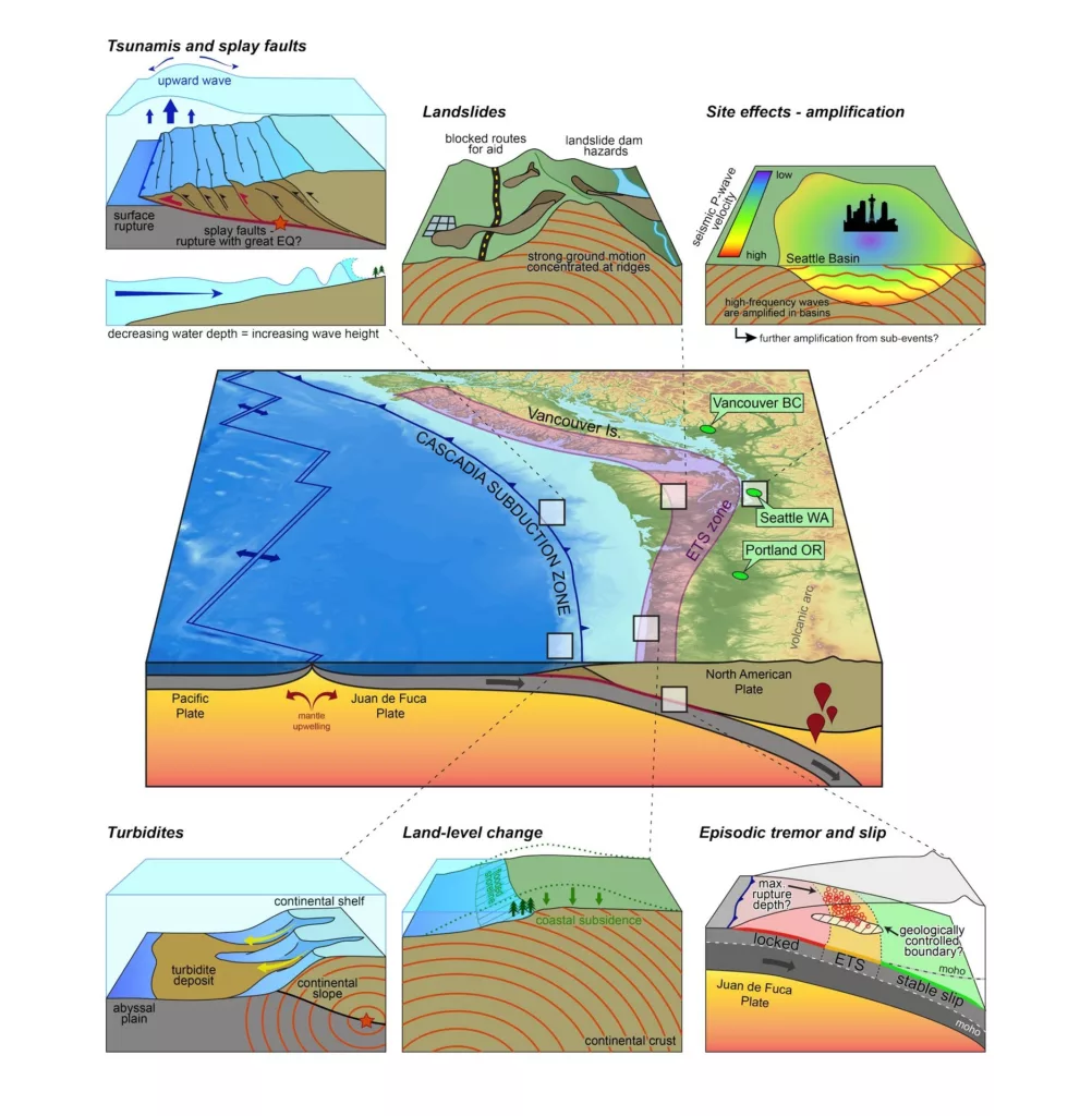 This image shows an animated figure of the Cascadia subduction zone. In the center of this figure is the Juan de Fuca plate subducting under the North American Plate with the ETS zone highlighted in pink at the surface. There are six smaller figures in this image. The three figures above the main figure show the associated hazards of the Cascadia subduction zone including Tsunamis, landslides, and amplification. The three figures below the central figure show diagrams for turbidites, coastal subsidence, and episodic tremor and slip.