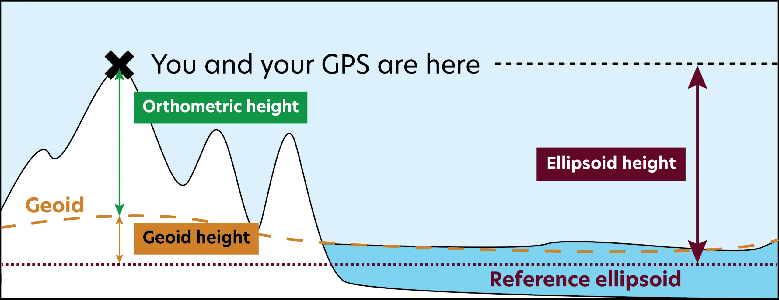 Illustration showing that Ellipsoid Height = Orthometric Height + Geoid Height.