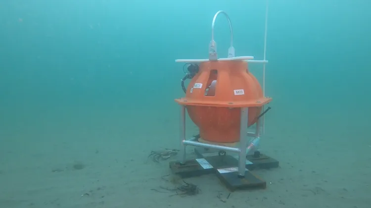 An orange ocean-bottom seismometer mounted on a metal frame on the seafloor.