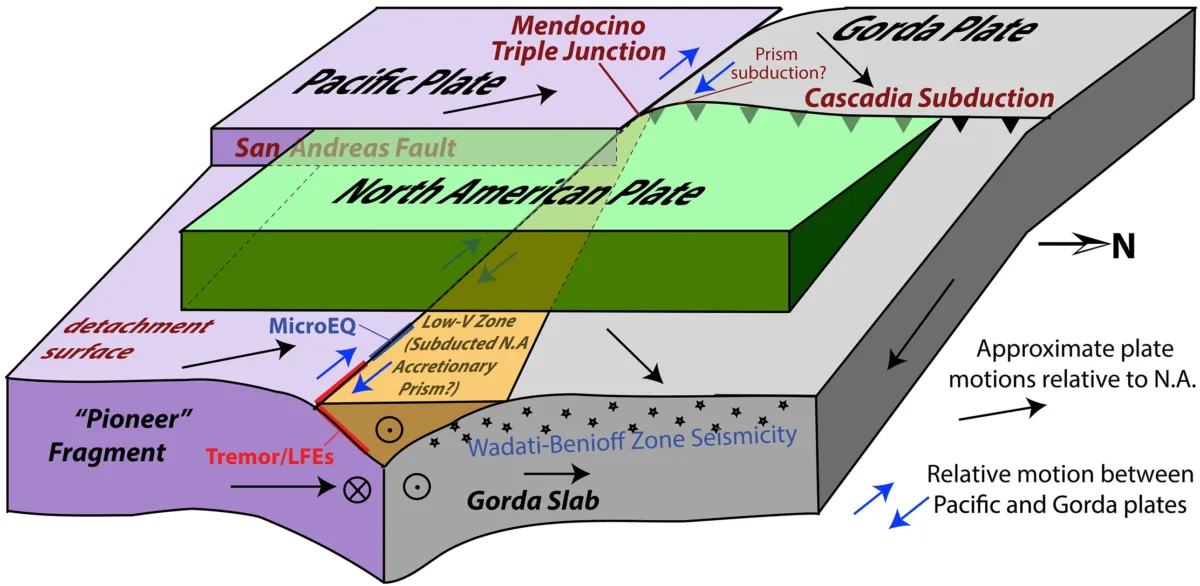 Block illustration of the Pioneer fragment and Gorda Slab beneath the North American plate.