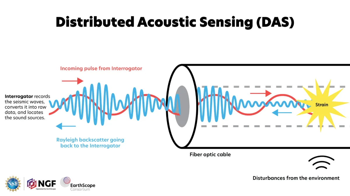 A schematic showing how DAS works. A red wave moves to the right through a cable, where it hits a yellow star labeled "strain" and gets scattered back as a blue wave.