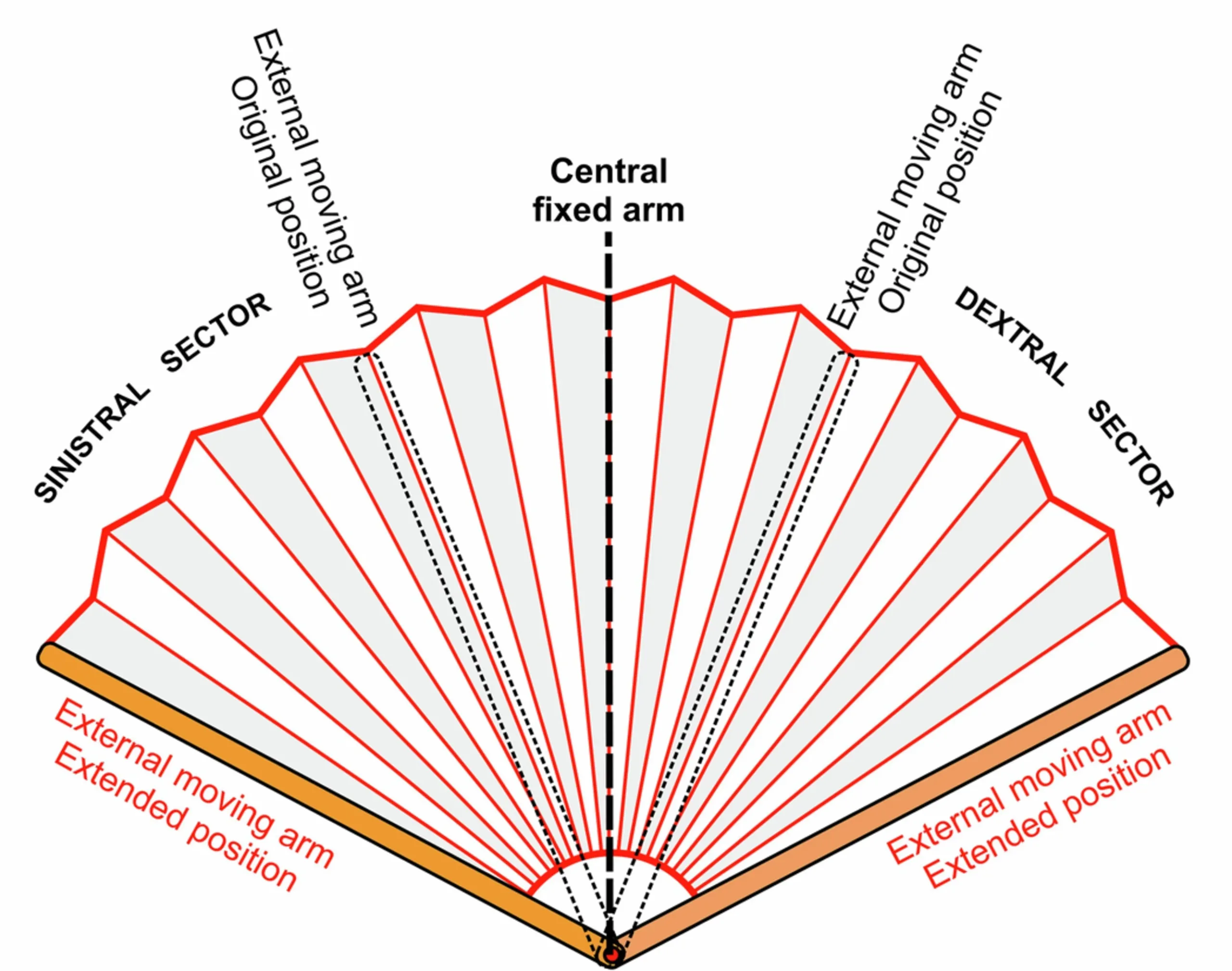 Illustration of a handheld fan with text indicating that the left and right sides extend from a central fixed arm.