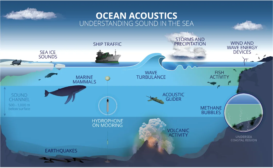A diagram titled "Ocean Acoustics" that shows a cross-section view of the ocean, including different things that create sound (like marine mammals, sea ice, ship traffic, volcanic activity) and devices that record it (like a hydrophone and an acoustic glider).