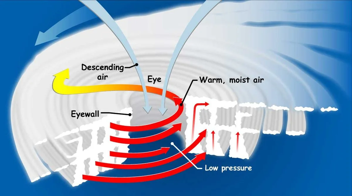 A cross-section diagram of a hurricane. The hurricane is depicted as a spiral structure sliced in half to reveal white columns and rows of clouds to show the structure of thunderstorms, and the innermost column is noted as the "eyewall." A spiral red arrow aligned with the columns indicates direction of circulating warm & moist air that rises upwards out of the hurricane. An annotation for "low pressure" points to the center of the hurricane structure, which is called the "eye." Blue arrows fall inward to the eye and are noted as "descending air." The background is a deep sky blue.