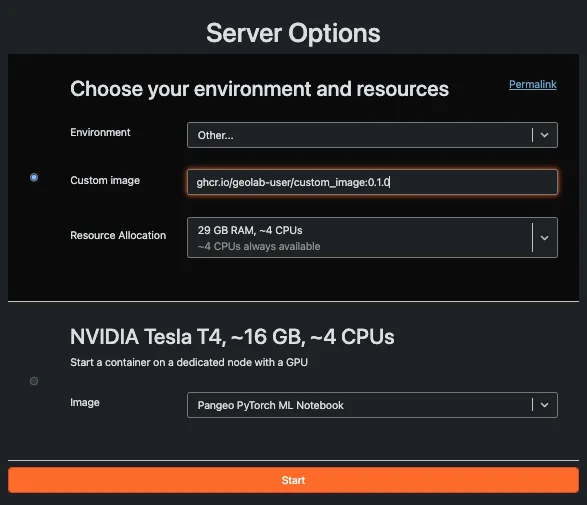 Screenshot of GeoLab server options showing where to enter a custom image URL.
